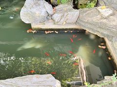 -谷咖啡·鲜花绿植花园餐厅