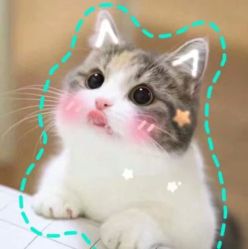-HairCode芭曲发型