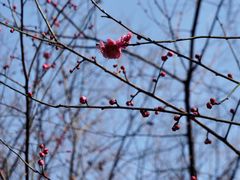 -相门城墙文化休闲景区