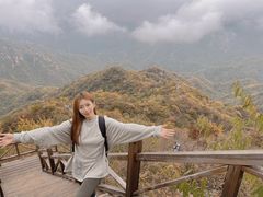 -大岭沟猕猴桃谷风景区