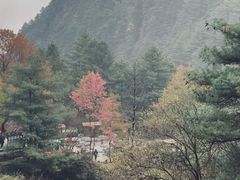 -苍山感通索道