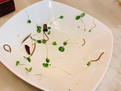 -京华烟云·北京烤鸭(领展购物广场·中关村店)