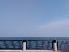 -东堤公园