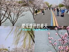 -羊山湖公园