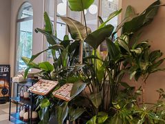 -隅乐胡椒虾·台湾菜·团建(皇岗店)