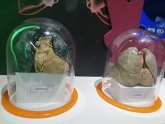 -台州博物馆