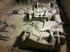 android_upload_pic-洛阳周王城天子驾六博物馆