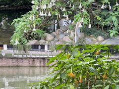 -成都市活水公园