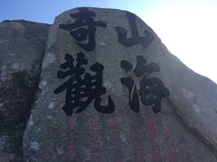-枸杞岛
