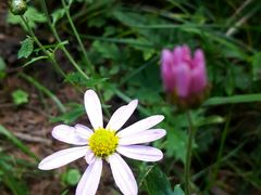 -白草畔自然风景区