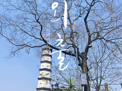 -棠湖公园
