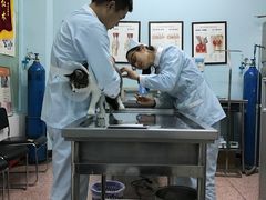 -北京博爱动物医院有限公司