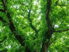 -汉长安城未央宫国家考古遗址公园