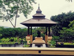 -四季酒店下午茶