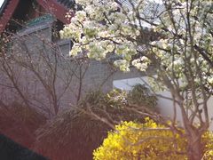 -北京颐和宾馆