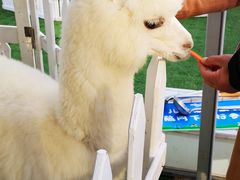-北京华联购物中心(天通苑店)