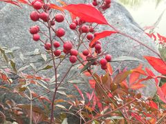 -城市运动公园(未央区)