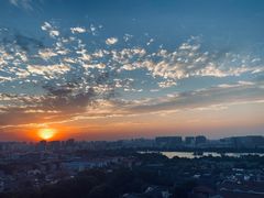 -梧桐餐厅(泉城路店)