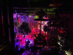 -胡桃里音乐酒馆(环亚凯瑟琳广场店)