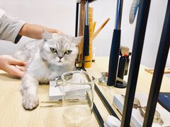 -Oasis绿洲银饰珍珠手作diy(壹方城店)