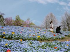 -上海辰山植物园