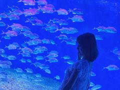 -哈尔滨波塞冬海底世界