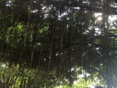 -船政文化景区-罗星塔公园