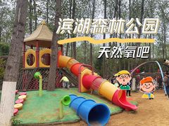 -合肥滨湖国家森林公园