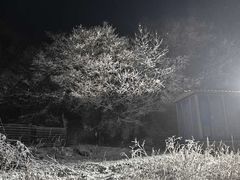 -太子岭滑雪场
