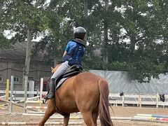 -北京群众马术培训基地