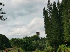 -深圳仙湖植物园