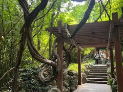 -吴山景区
