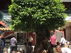 -云南古玩城(护国路店)