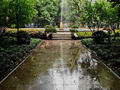 -上海交通大学医学院附属瑞金医院(总院)
