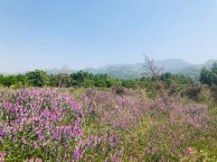 -秦岭风景区