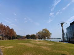 -上海月湖雕塑公园