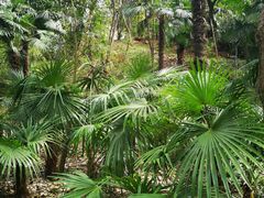 -蜀冈西峰生态公园