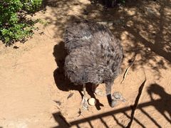 -鄂尔多斯野生动物园