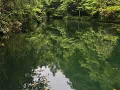 -石台牯牛降景区