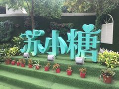-苏小糖(鼓浪屿三丘田花园店)