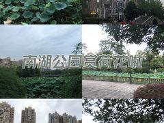 -成都南湖公园