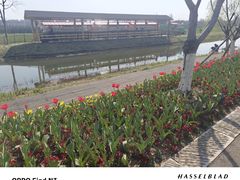-长田漾湿地公园