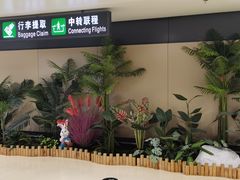 -哈尔滨太平国际机场-T2航站楼