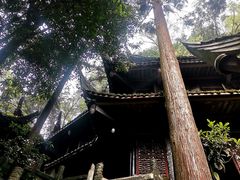 -青城山