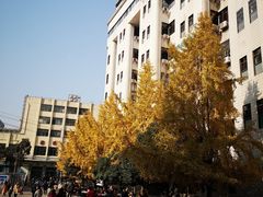 -中南大学湘雅二医院