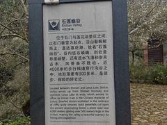 -广州市石门国家森林公园