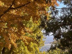 -阳台山自然风景区