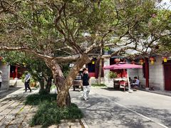 -崂山巨峰游览区