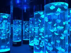 -成都浩海立方海洋公园