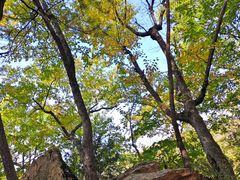 -五女峰国家森林公园